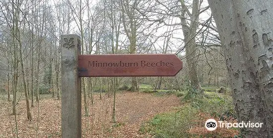 4_Minnowburn