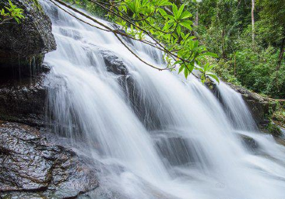 Amphoe Khao Chamao