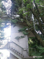 Observation Deck in Heiwa Minami Ryokuchi Preservation Area