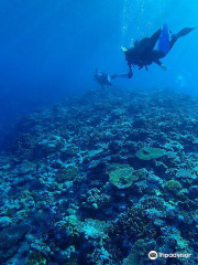 Scuba Diving in Naha