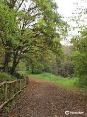 Scadbury Park Nature Reserve