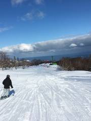 北海道滑雪