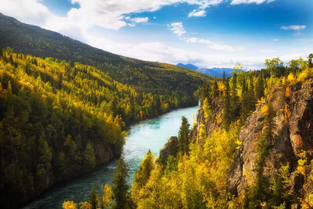 Fall foliage is seen on Sept. 14, 2017, along the Kenai River in Kenai National Wildlife Refuge. The refuge has been at the center of a state-federal debate over baiting of brown bears. (Photo by Lisa Hupp/U.S. Fish and Wildlife Service)