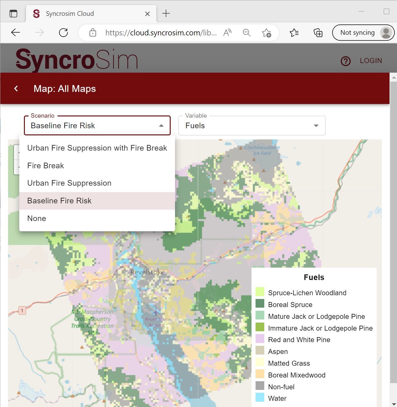 SyncroSim Web Interface