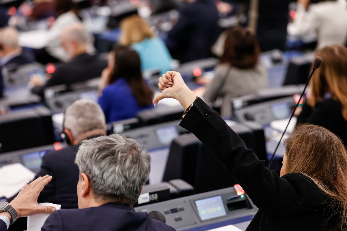 EP Plenary session - Voting Session