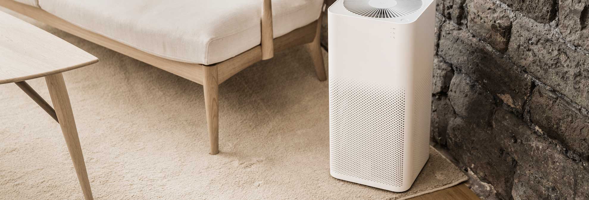 Air Purifier Buying Guide