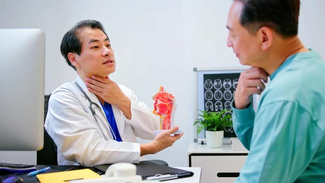 Healthcare provider holding medical model of the throat, talking with person across from desk