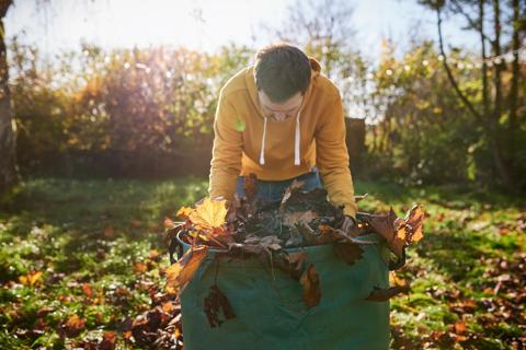 Person doing yardwork, stuffing leaves into a sack