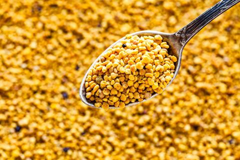 Spoonful of bee pollen granules held up over bee pollen granules