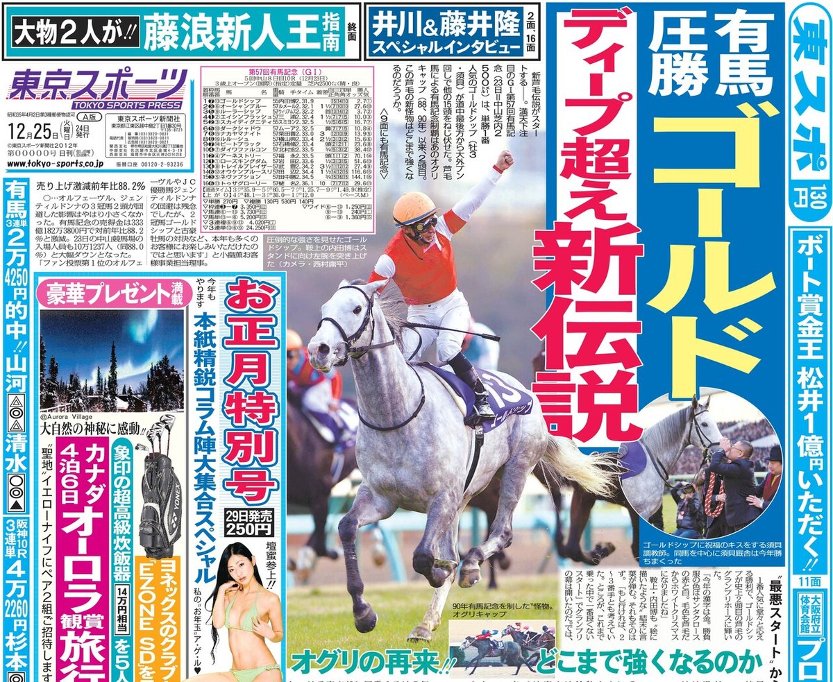 １３年有馬馬・結果