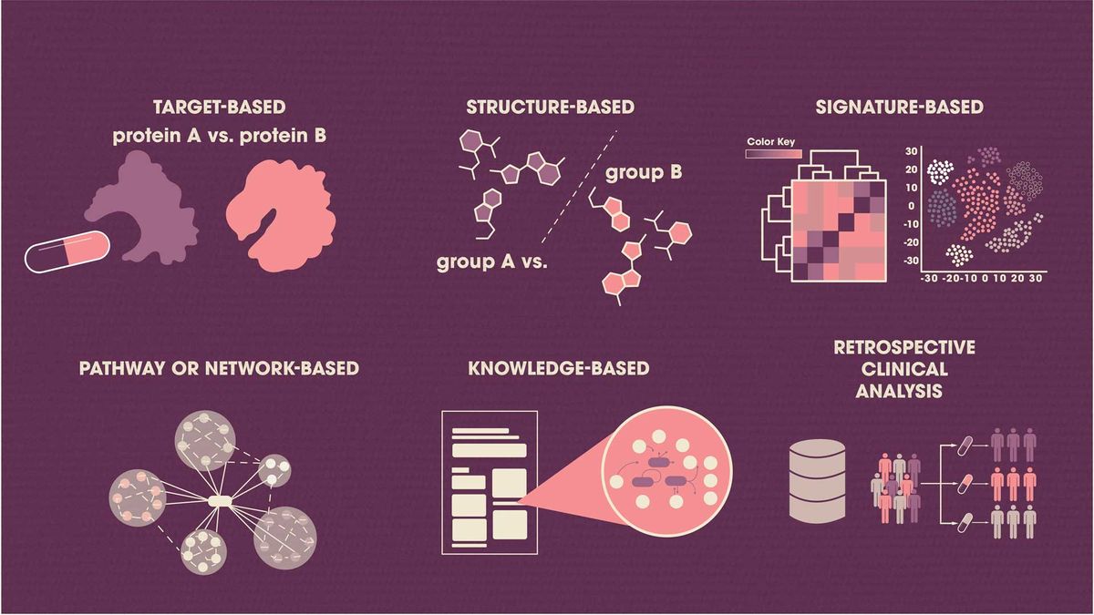 Visual summary of the in silico methods that can be used alone or in combination to identify and assess the potential properties of repurposed drugs. 