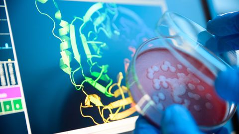 Understanding Structural Biology, Its Applications and Creating a Molecular Model