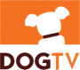 Dog TV