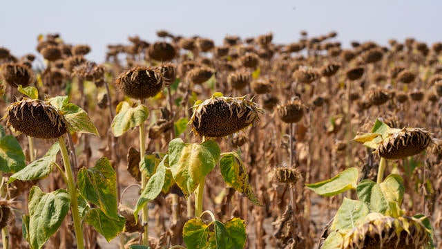 Climate UN Drought Talks 