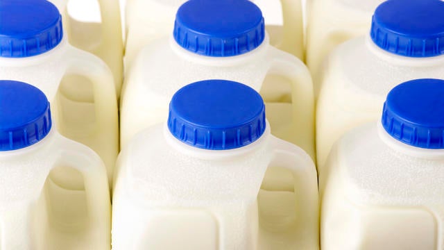 Pint Milk Containers Arranged In Rows 