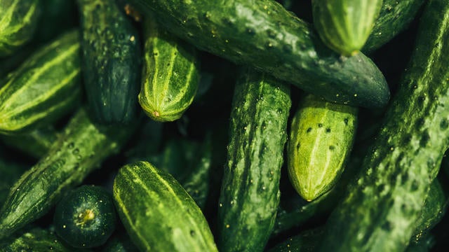 cucumbers-bag-11292024.jpg 