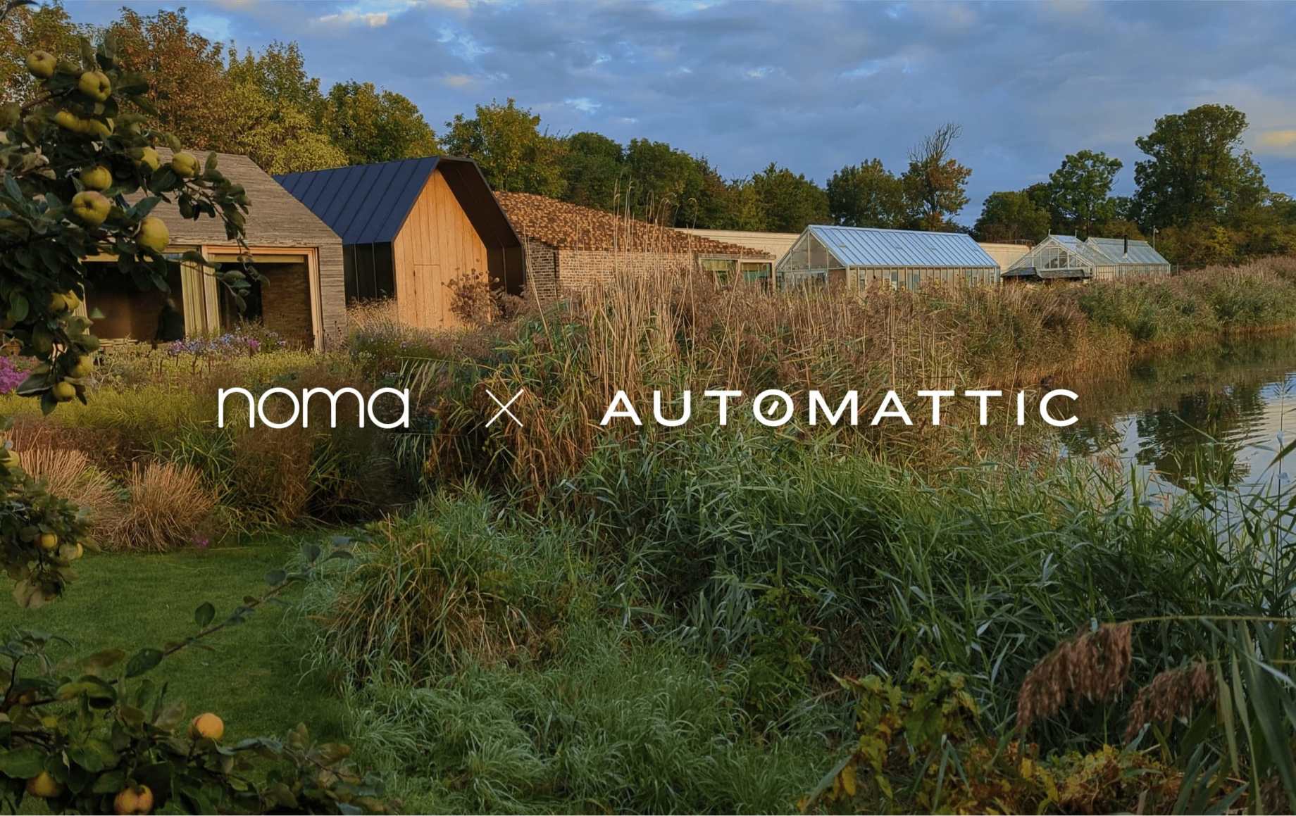 Even noma’s Website Has Great Taste (Thanks to WordPress)