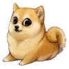 StankyDoge