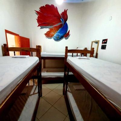 Basic Shared Dormitory (Beta) Hostel Minha Lua Promo Code