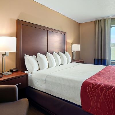 King Room-Accessible-Non-Smoking Comfort Inn & Suites Milford / Cooperstown Promo Code