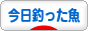 にほんブログ村 釣りブログ 釣果・今日釣った魚へ