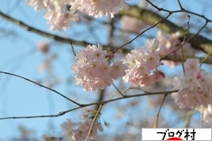 にほんブログ村 にほんブログ村