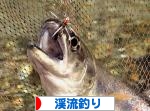 にほんブログ村 釣りブログ 渓流釣りへ