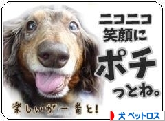 にほんブログ村 犬ブログ 犬 思い出・ペットロスへ