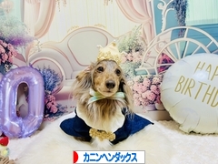 にほんブログ村 犬ブログ カニンヘンダックスフンドへ