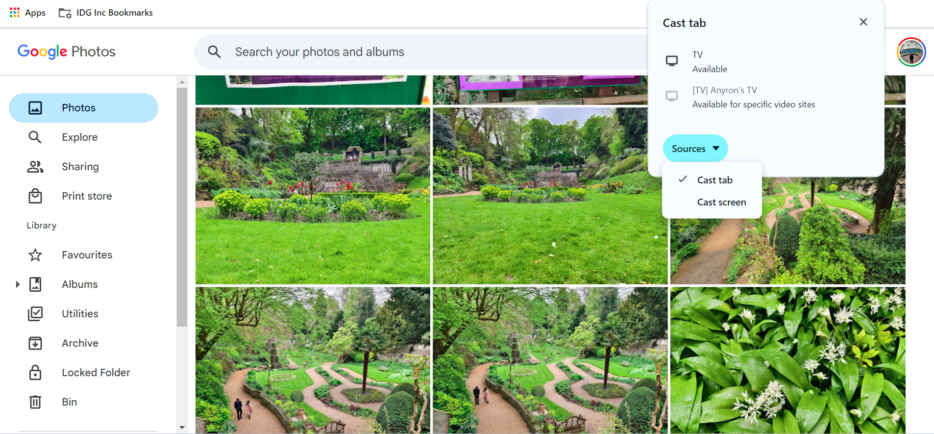 Google Photos website Cast options