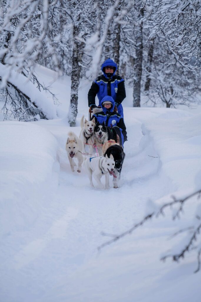 Dog sledding