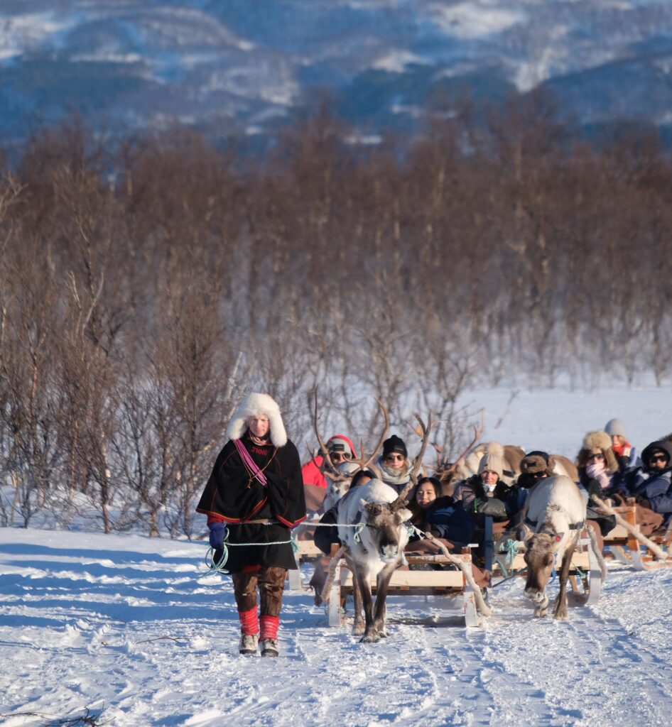 Reindeer tour