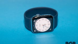 Apple Watch Series 8 Hermes with Sport Loop