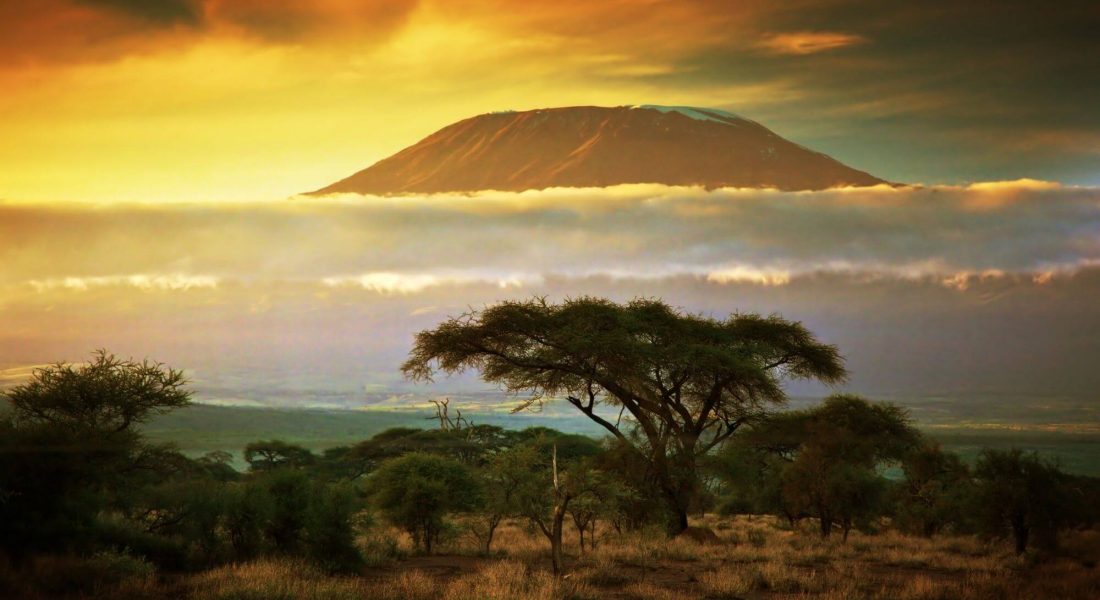 How to Plan The Ultimate Trip To Kilimanjaro