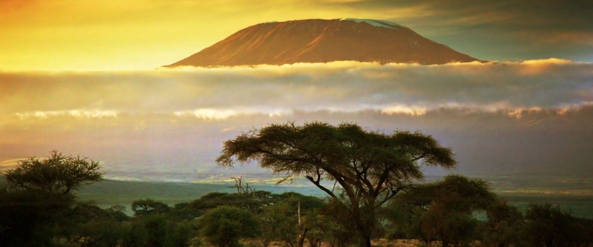 How to Plan The Ultimate Trip To Kilimanjaro | Black Platinum Gold