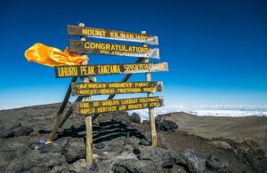 How to Plan The Ultimate Trip To Kilimanjaro | Black Platinum Gold