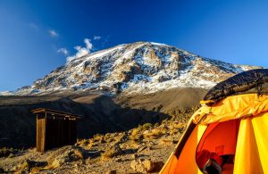 How to Plan The Ultimate Trip To Kilimanjaro | Black Platinum Gold