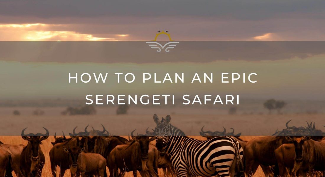 How to Plan an Epic Serengeti Safari