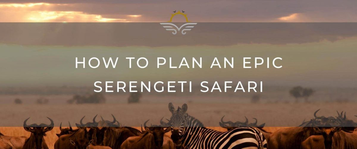 How to Plan an Epic Serengeti Safari | Black Platinum Gold