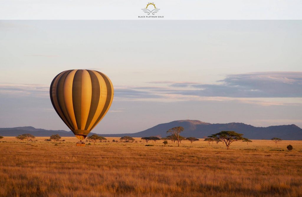 How to Plan an Epic Serengeti Safari | Black Platinum Gold