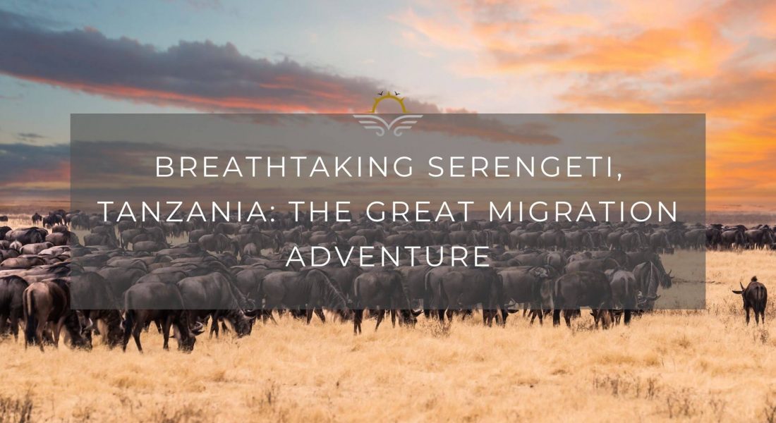 Breathtaking Serengeti, Tanzania: The Great Migration Adventure