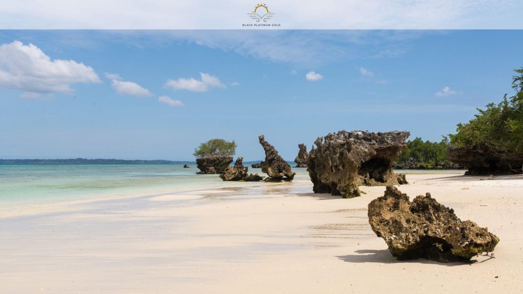 Zanzibar's Spice Islands: Exotic Flavours, Hidden Gems, and Endless Shores