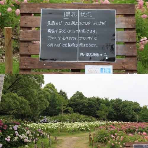 蜻蛉池公園