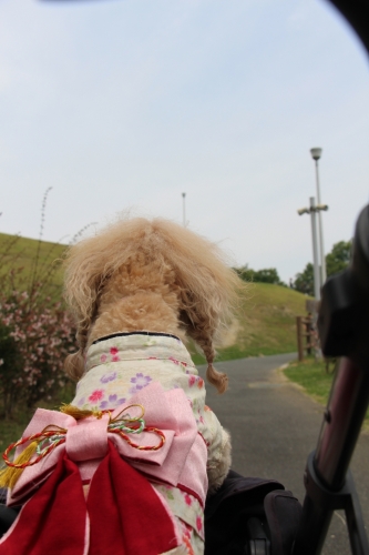 蜻蛉池公園