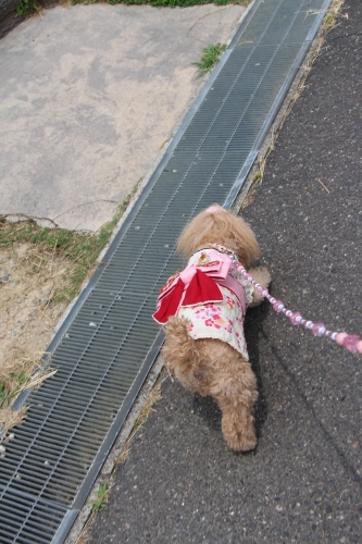 蜻蛉池公園