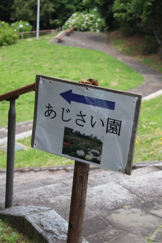 蜻蛉池公園