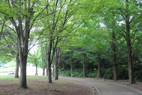 蜻蛉池公園