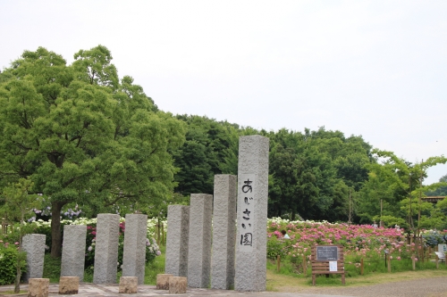 蜻蛉池公園