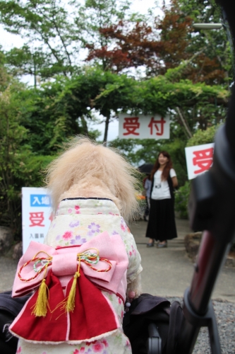 玉水ゆり園