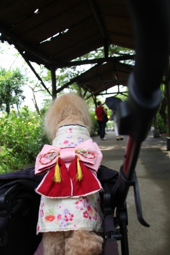 玉水ゆり園